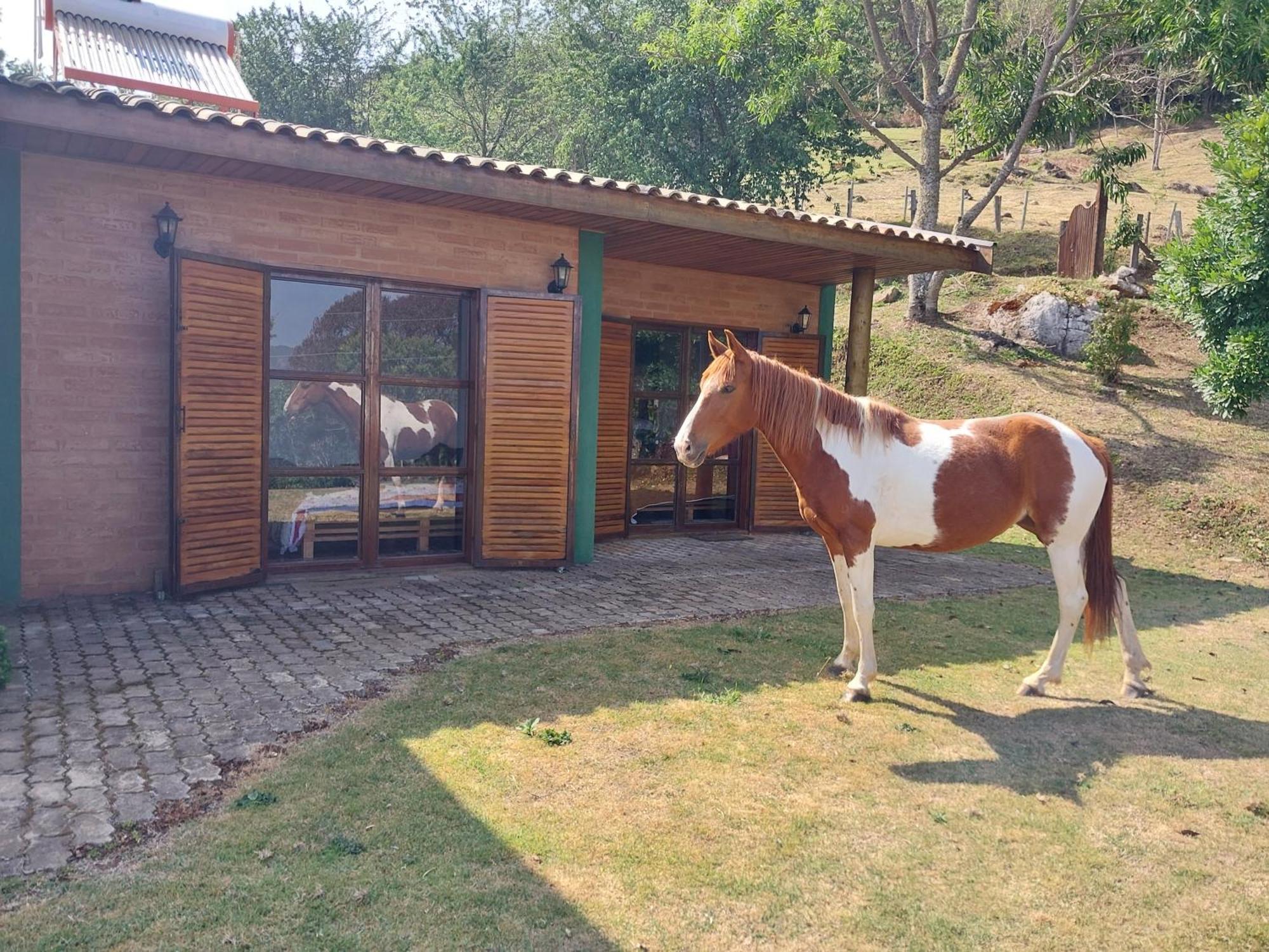 Casa Na Montanha Villa Goncalves Ngoại thất bức ảnh